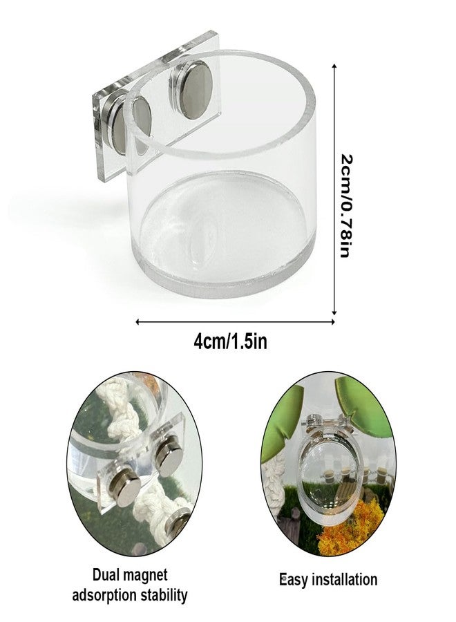 Julang Jumping Spider Feeding Dish Set, Magnetic Water Bowl, Reptile Feeding Tongs, Jumping Spider Enclosure Accessories - Image 2